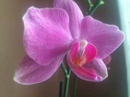 0177d792f8a170cec341e2bc9b5441783dd67c0e5e