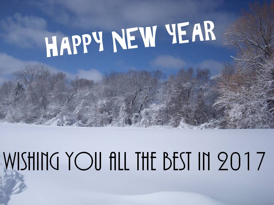 happy-new-year