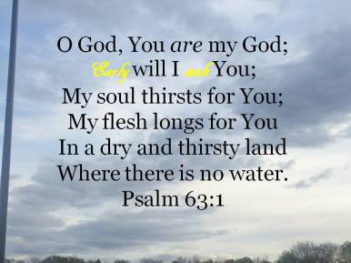 psalm 63