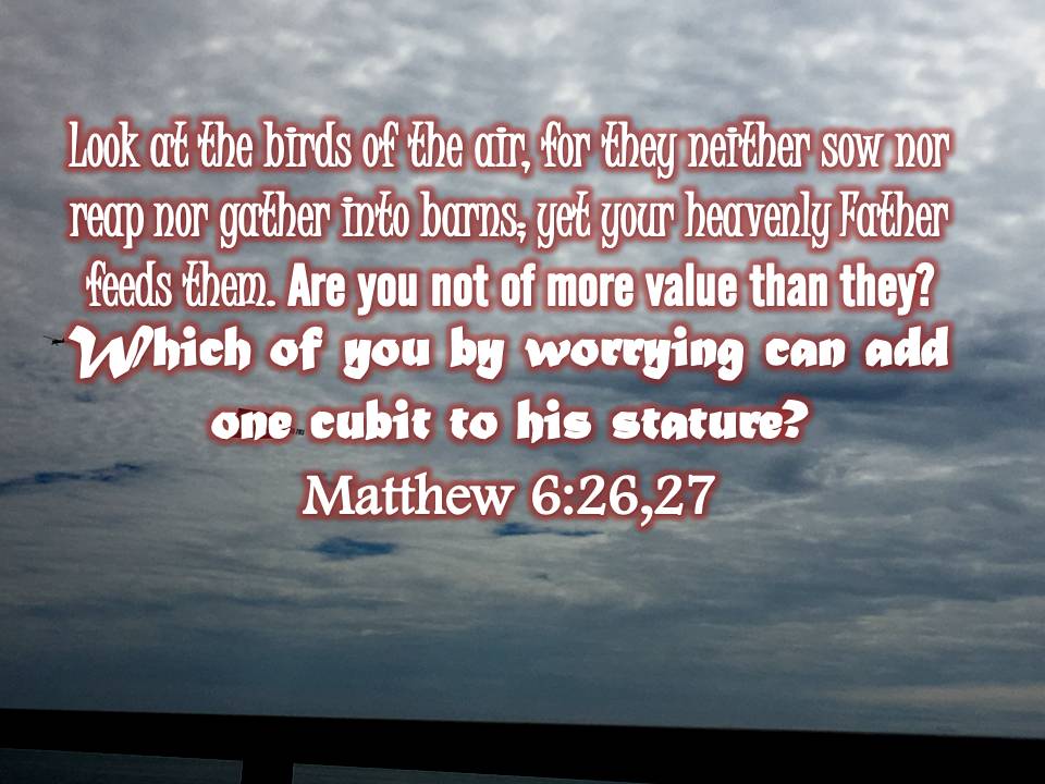 Matthew 6 26 27