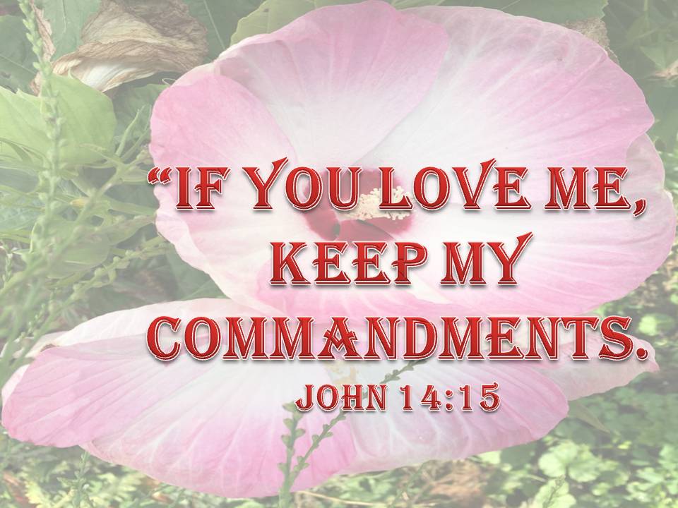 Jn 14 15