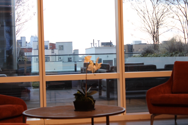 A view through large windows featuring a potted orchid in the foreground, two orange chairs, and a rooftop area with buildings in the background.